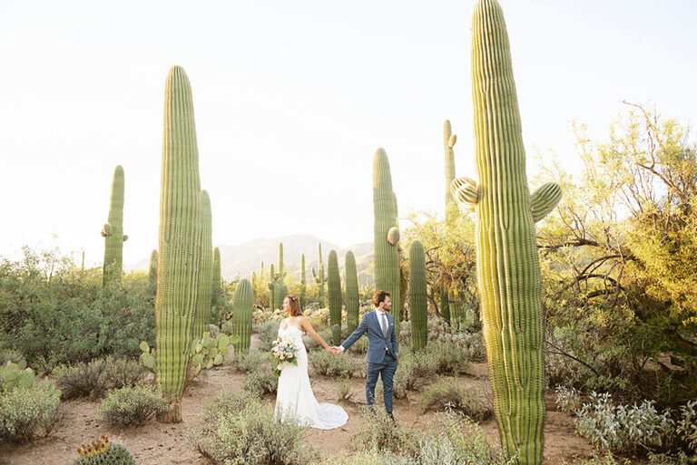 tucson elopement saguaros