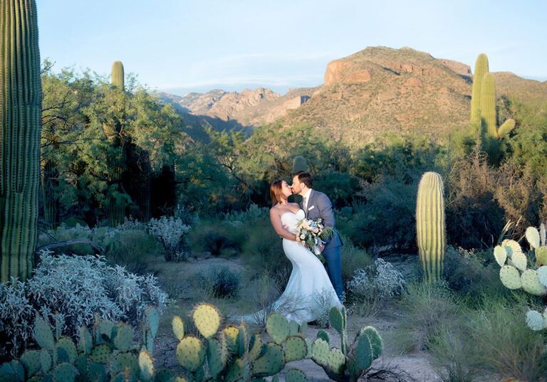 tucson elopement saguaros